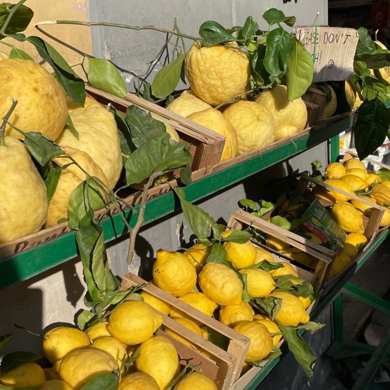 Amalfi Zitronen © Franceso - Casa Fantastico